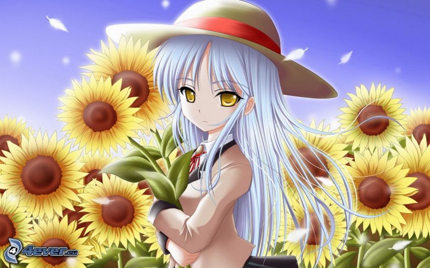Kanade Tachibana, flicka med hatt, solrosor