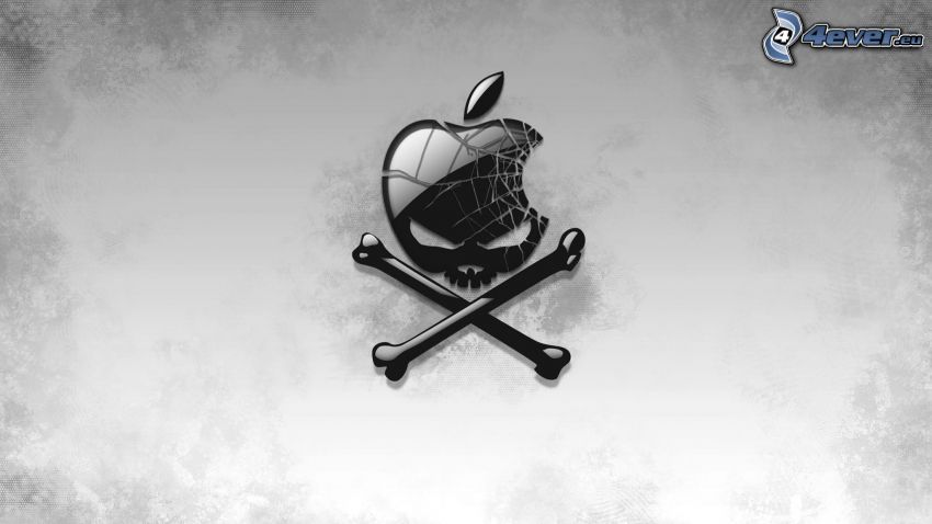 Apple, dödskalle, ben, grå bakgrund