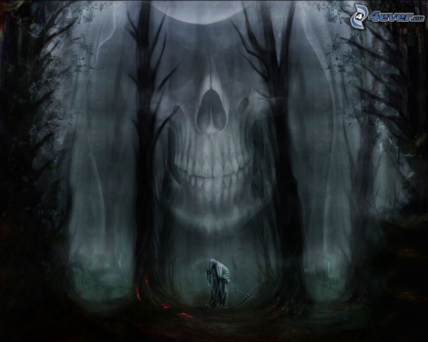 Döden, dödskalle, mörk skog