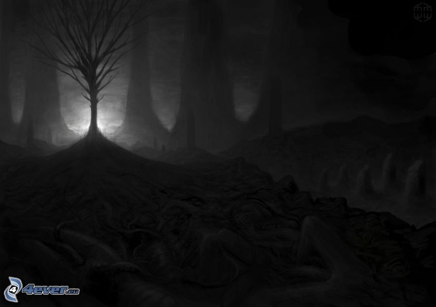 mörk skog