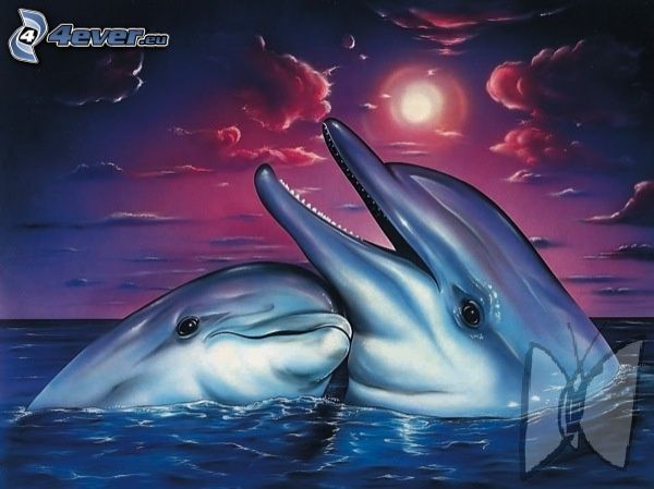 delfiner, kärlek, tecknat, vatten