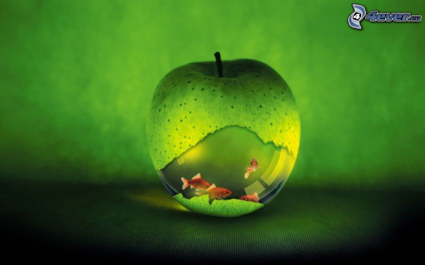 akvarium, grönt äpple