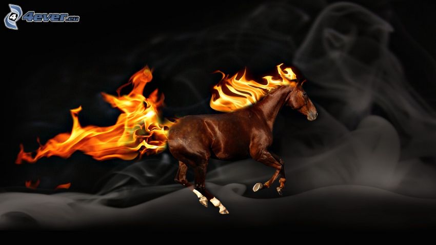 eldhäst, brun häst, flammor
