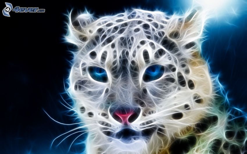 fraktal gepard, fraktaldjur