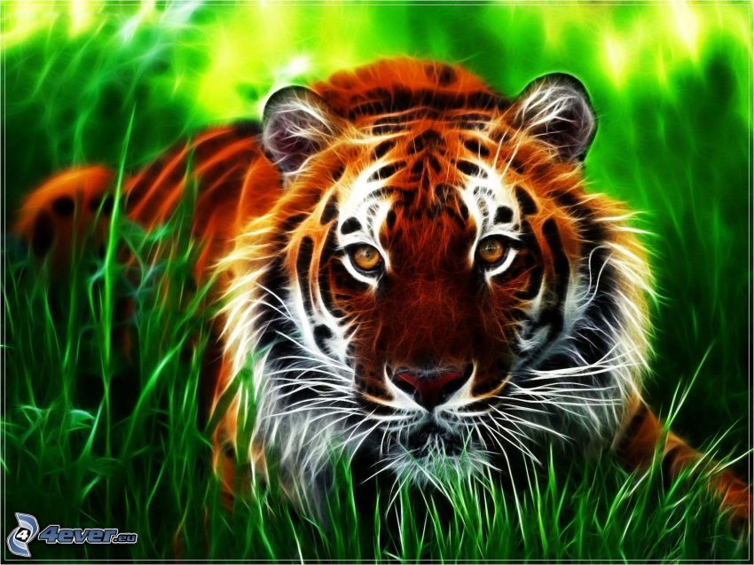 fraktal tiger, gräs