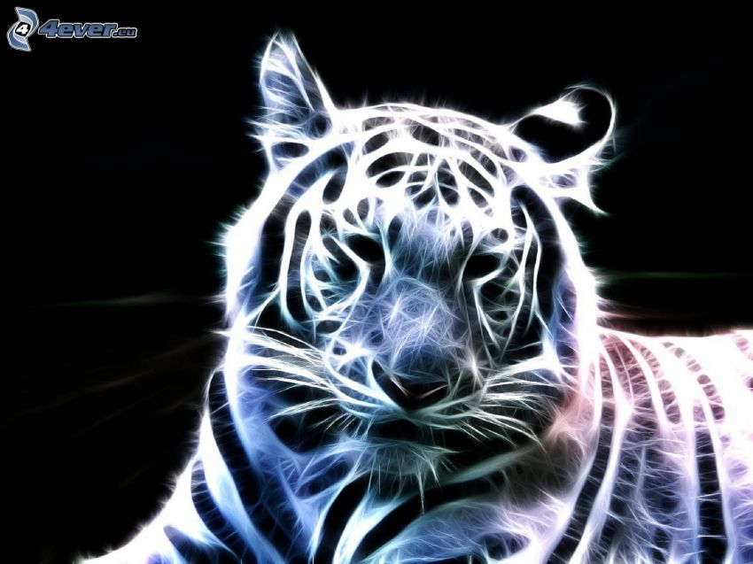 fraktal tiger