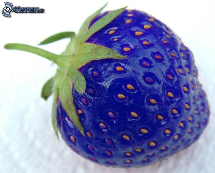 jordgubbe, blå