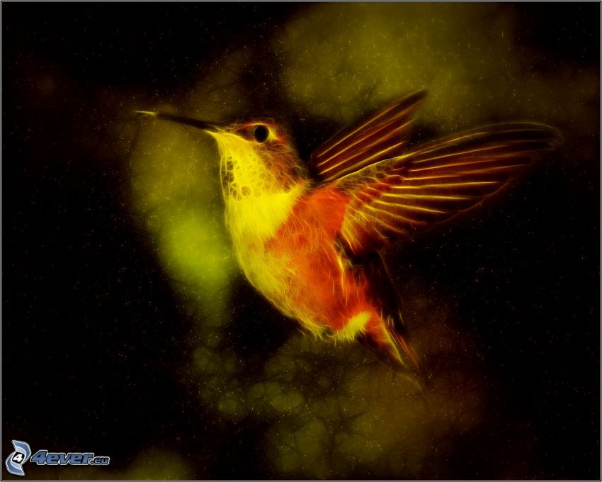 kolibri, fraktal fågel