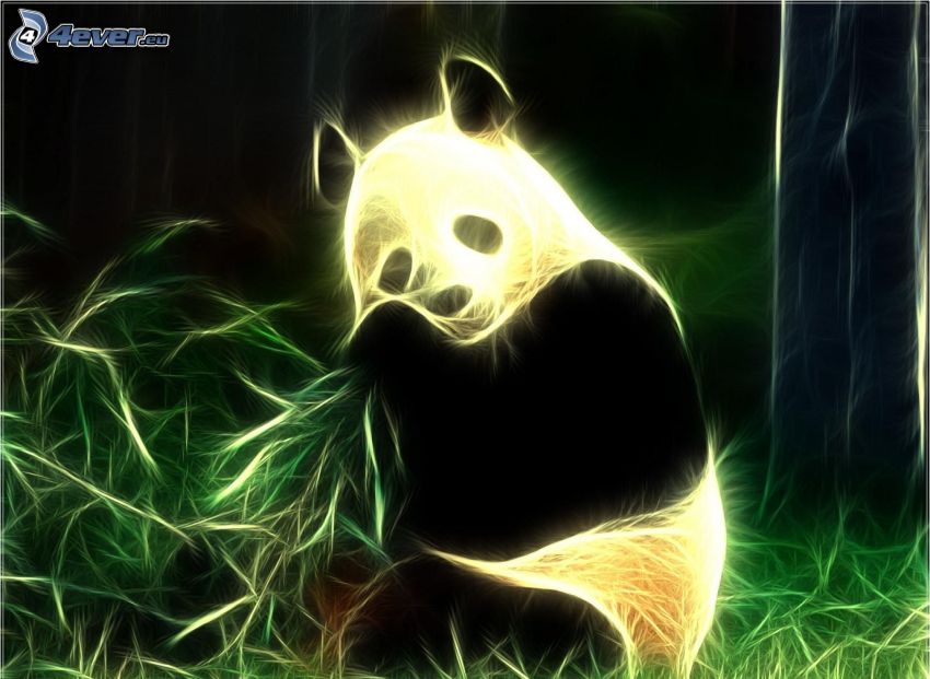 panda, fraktaldjur