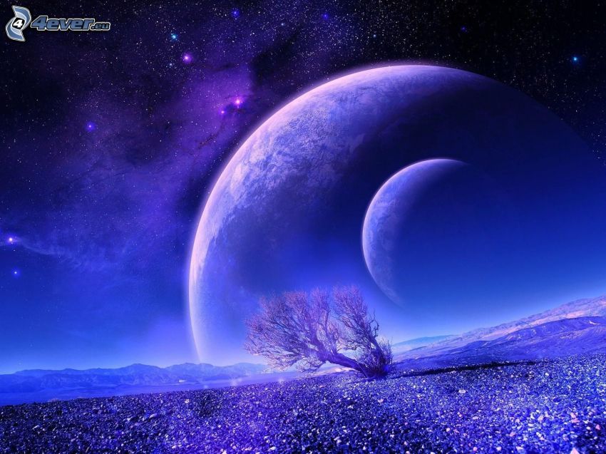 planeter, ensamt träd, stjärnhimmel