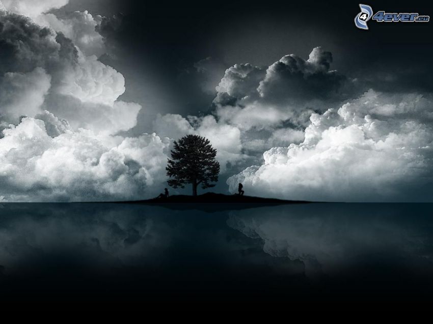 siluett av ett träd, mörka moln, spegling
