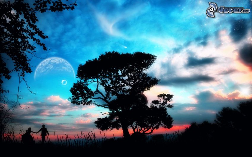 siluett av ett träd, par, himmel