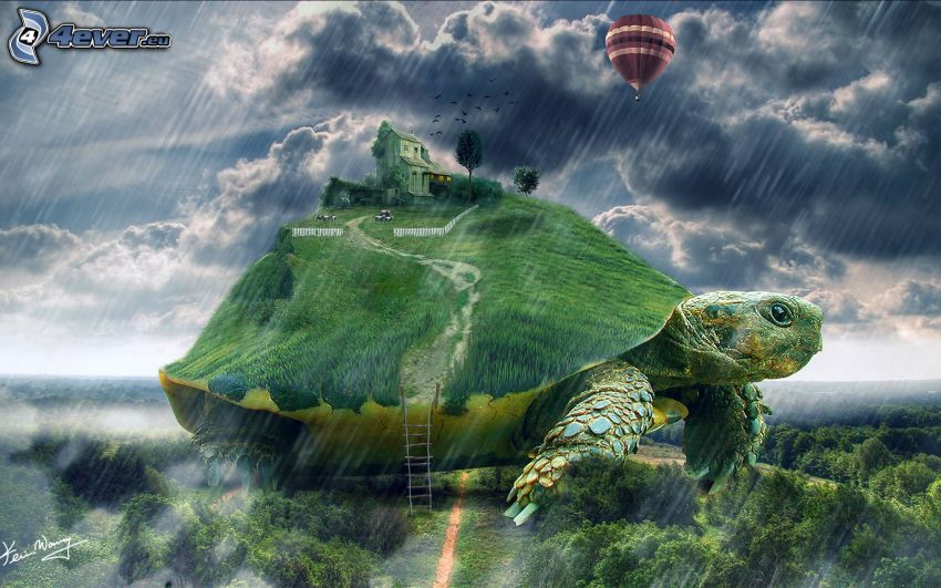 sköldpadda, hus, luftballong, storm