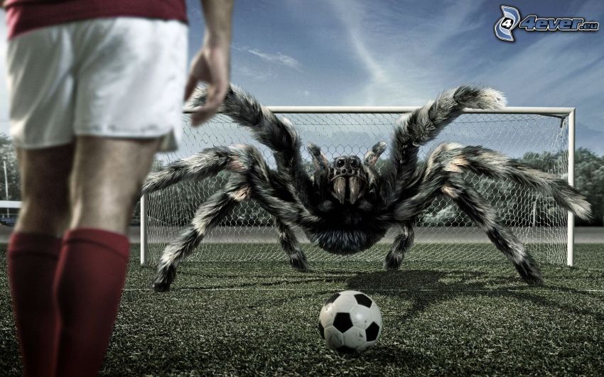 spindel, fotboll
