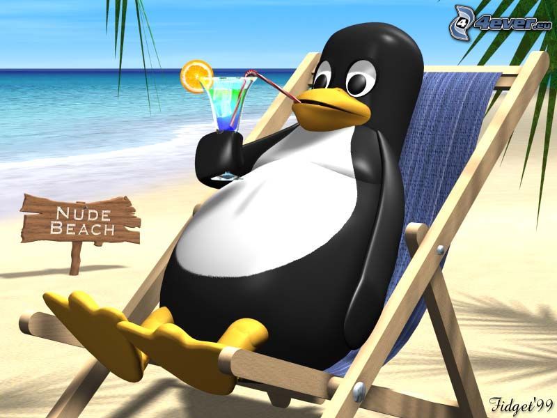 Tux, tecknad pingvin, Linux, strand