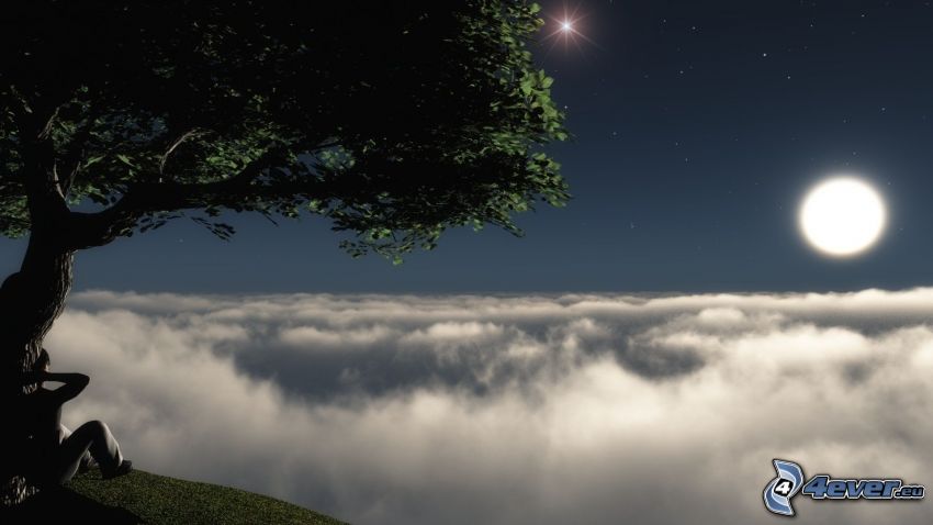 utsikt, spretigt träd, måne, moln, människa, stjärnor