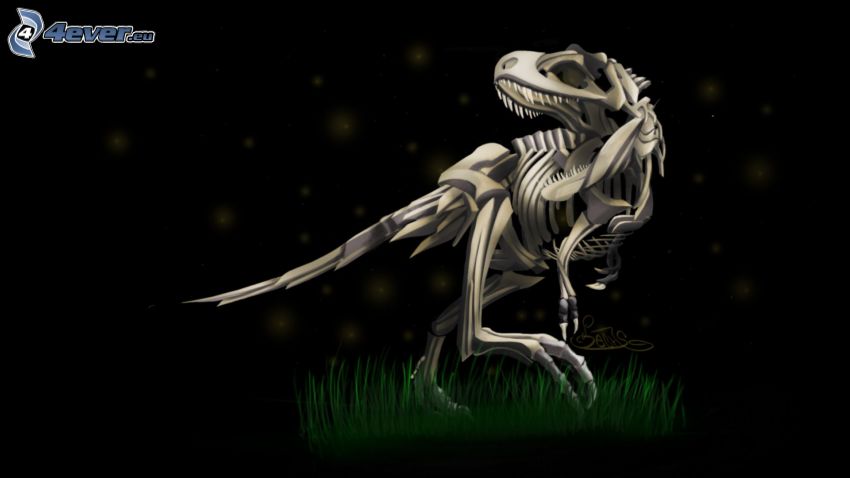 dinosaurie, skelett
