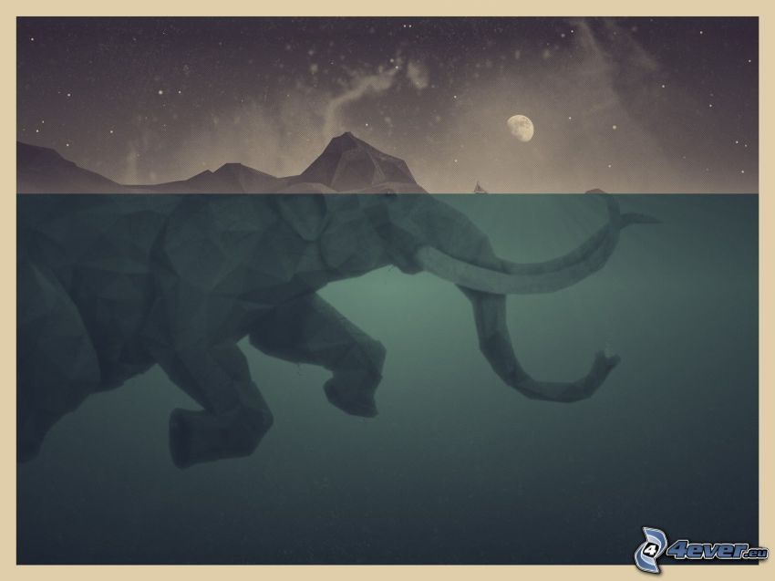 elefant, hav, måne