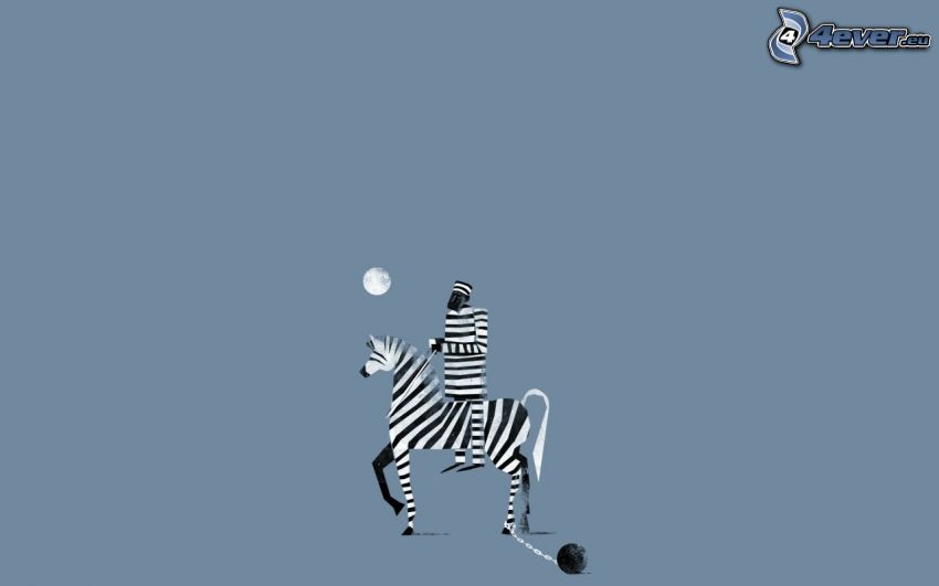 fånge, zebra, människa, måne