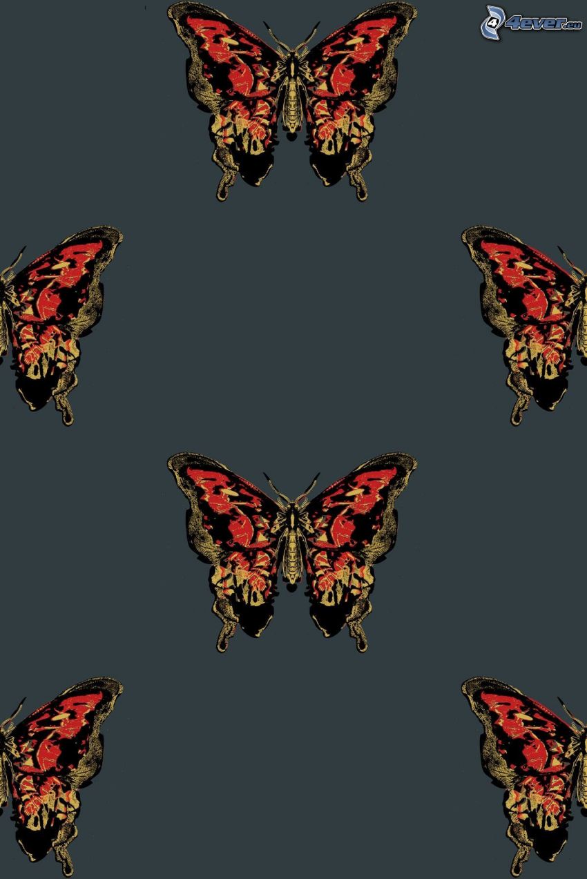 fjärilar