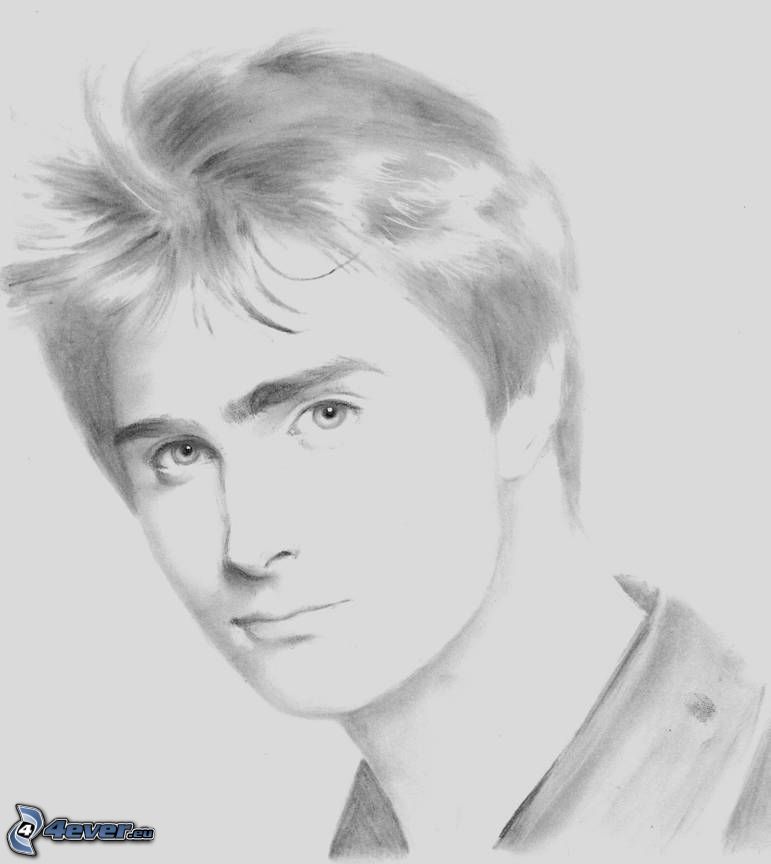 Daniel Radcliffe, teckning, porträtt