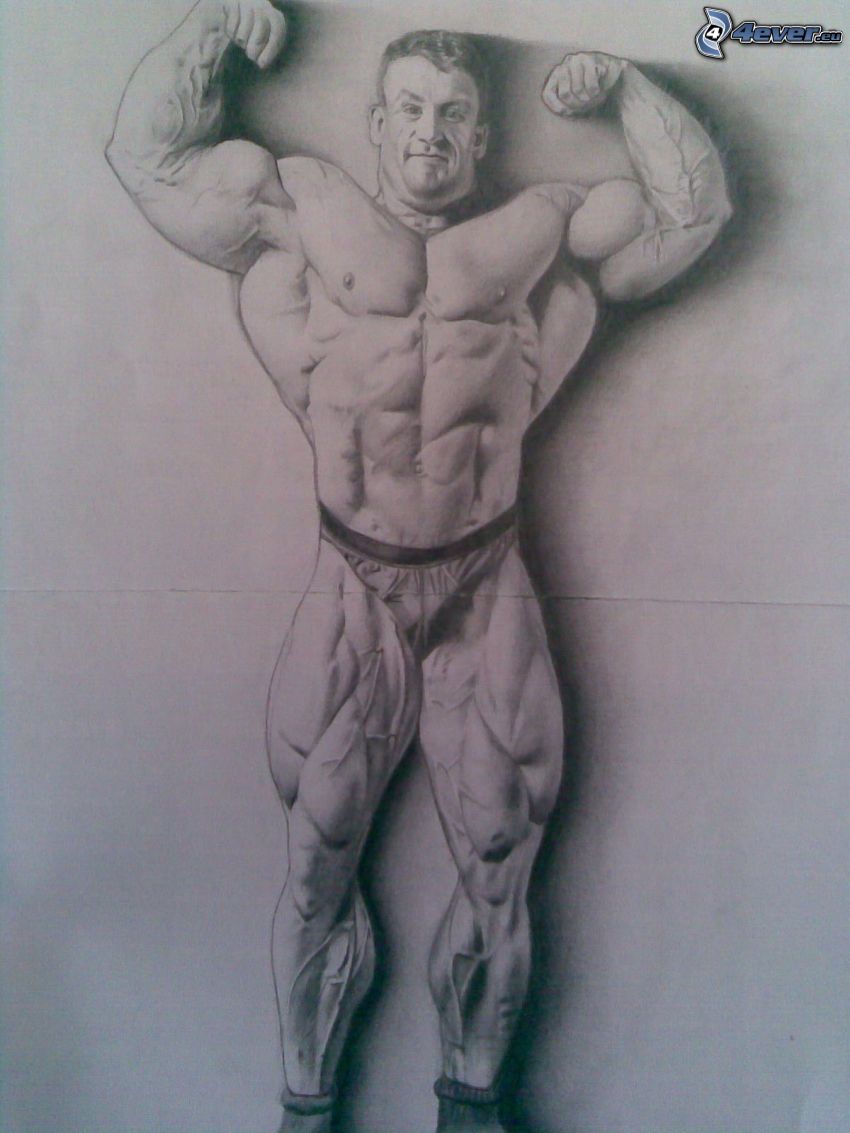 Dorian Yates, muskulös man, muskler