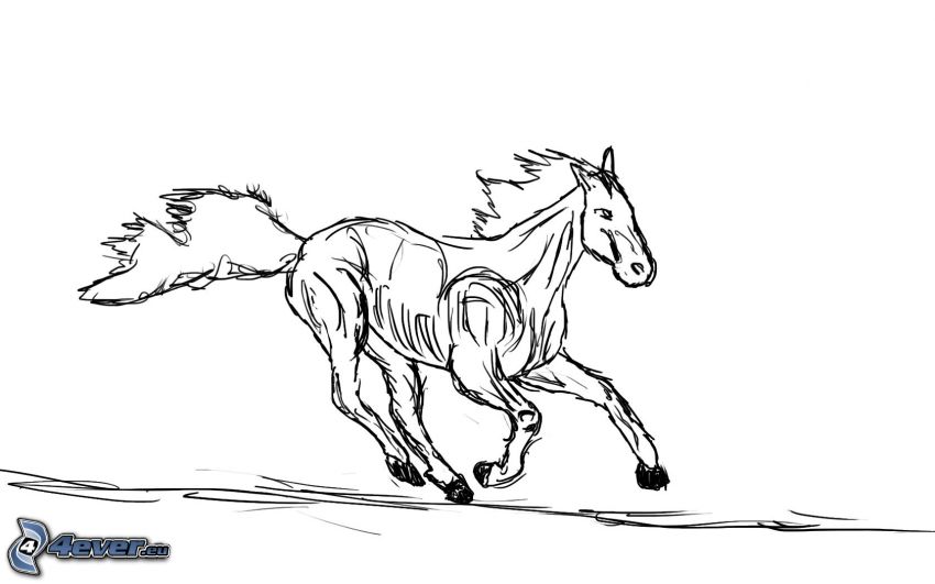 tecknad häst
