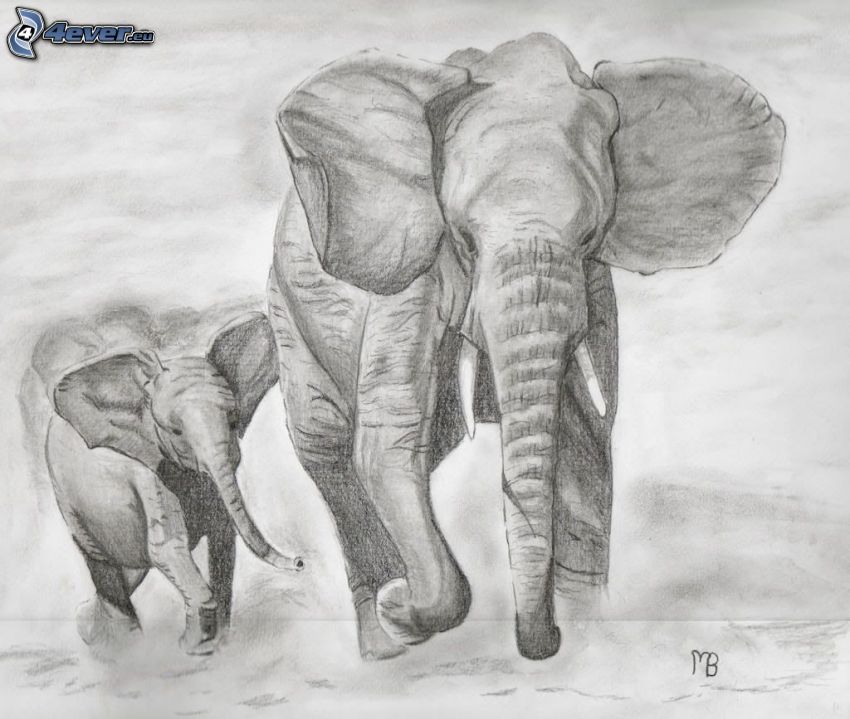tecknade elefanter