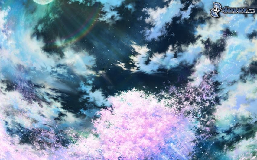 himmel, moln, måne, blommande körsbärsträd