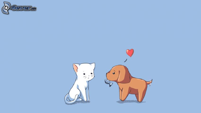 hund och katt, hjärta
