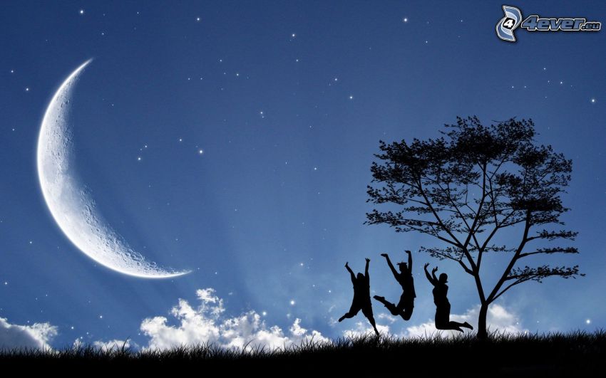 människor, hopp, måne, siluett av ett träd