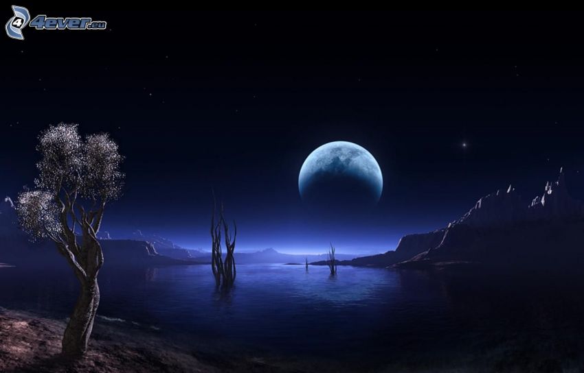 natt, måne, flod, träd