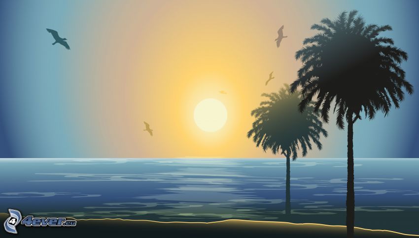 palmer, siluetter, solnedgång över hav, måsar