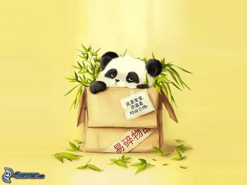 panda, låda