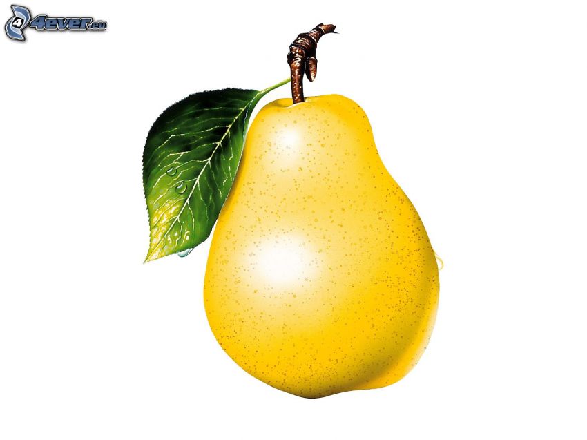 päron