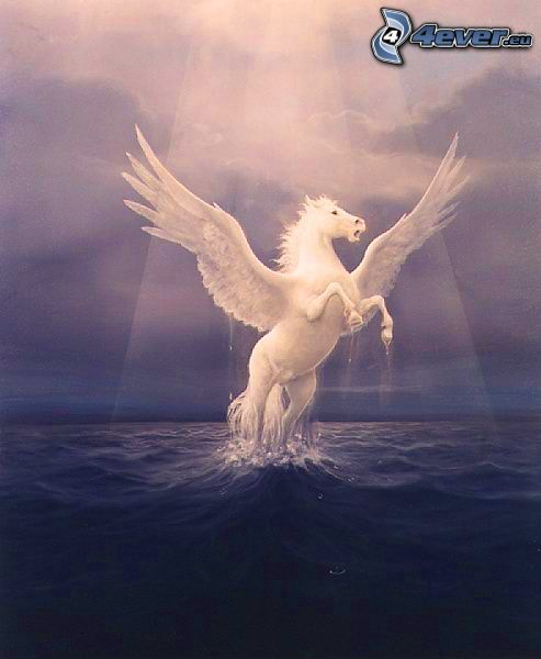 Pegasus, sken, hav