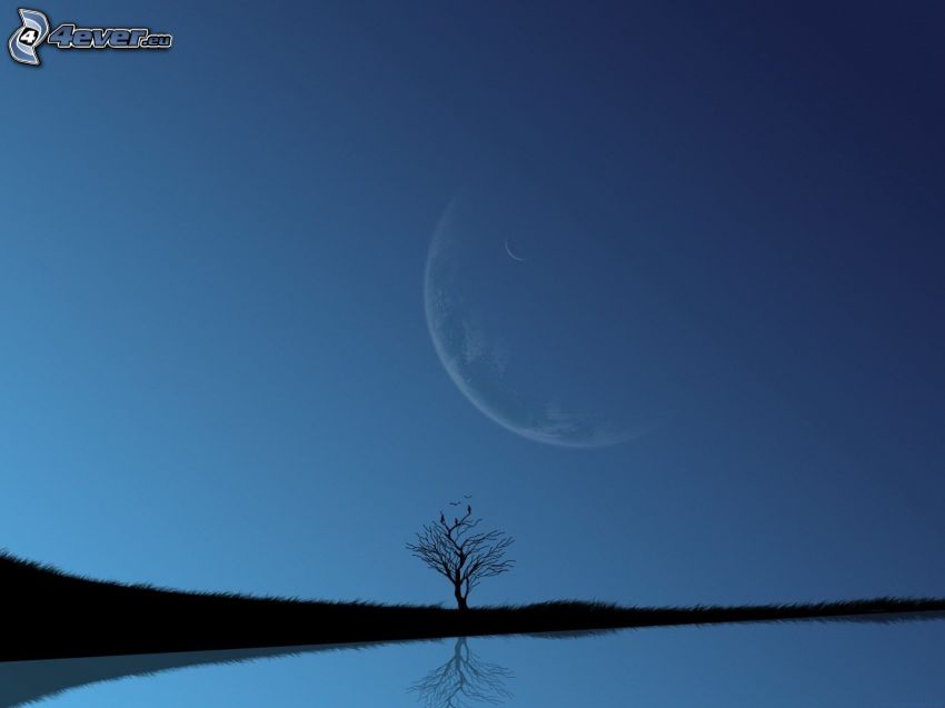 siluett av ett träd, måne