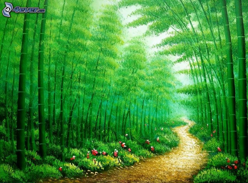 skogsväg, bambuskog