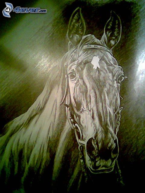 tecknad häst, konst