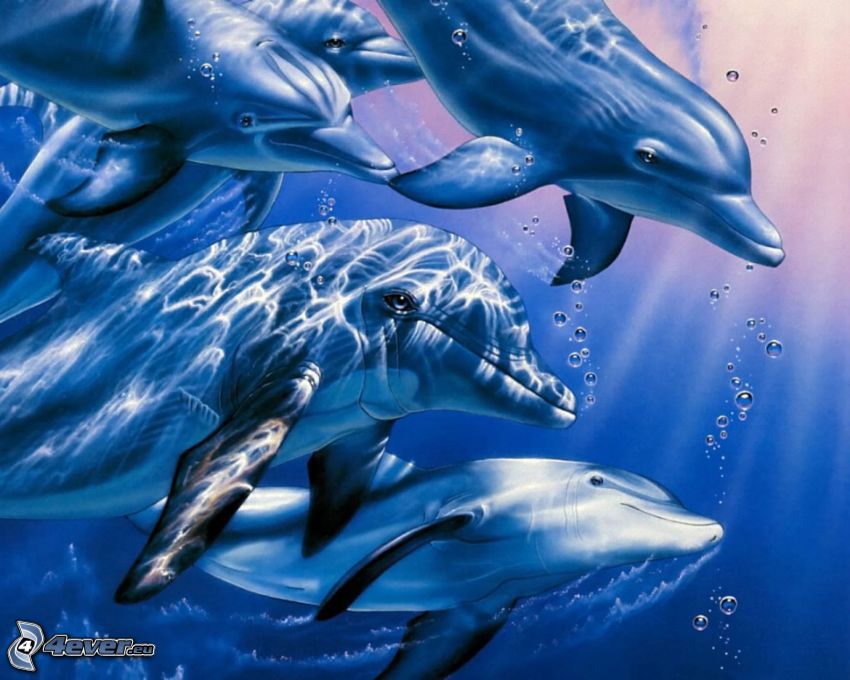tecknade delfiner