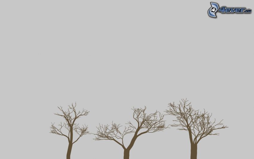 träd