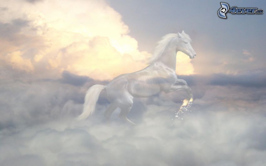 vit häst, moln