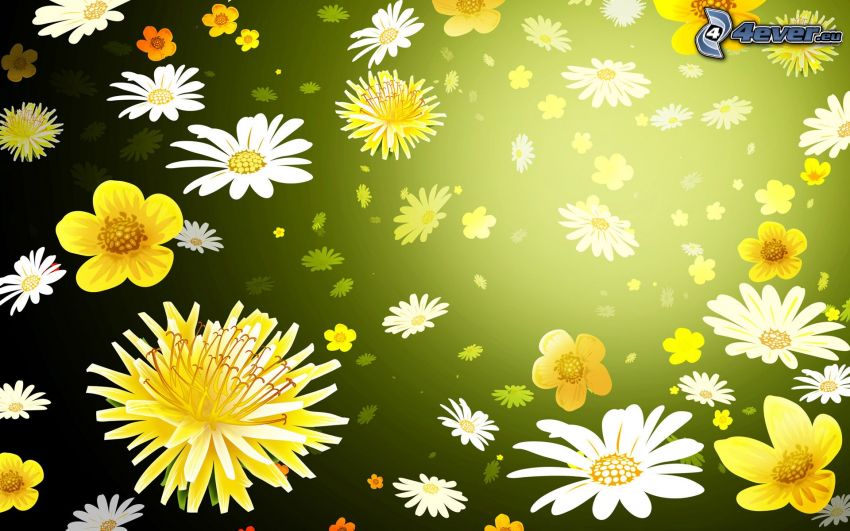 vita blommor, gula blommor, grön bakgrund