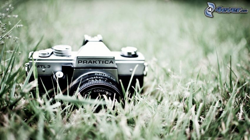 kamera, gräs