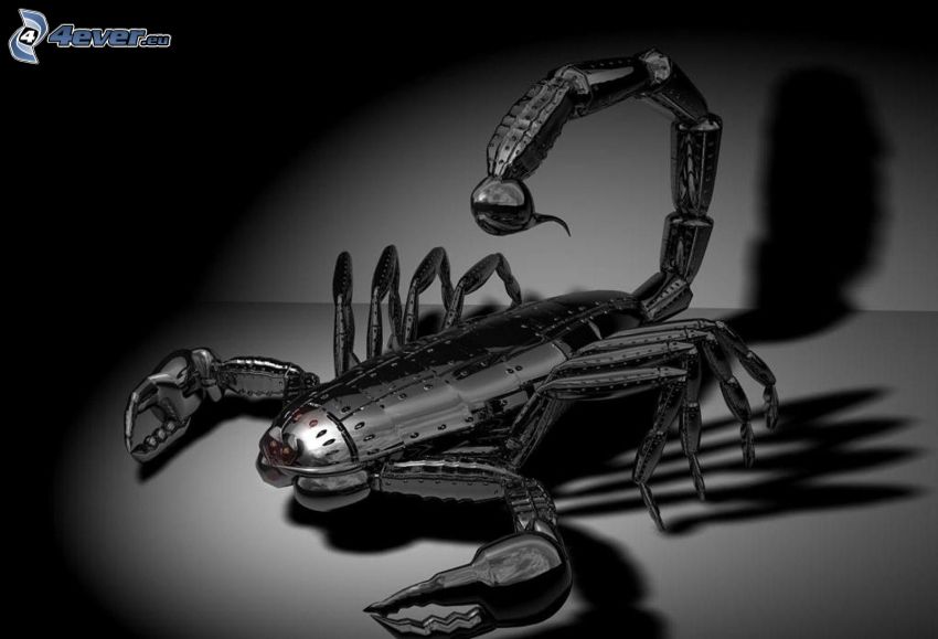 skorpion, robot, mekaniskt djur