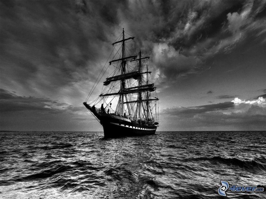 segelbåt, hav, himmel, svartvitt foto