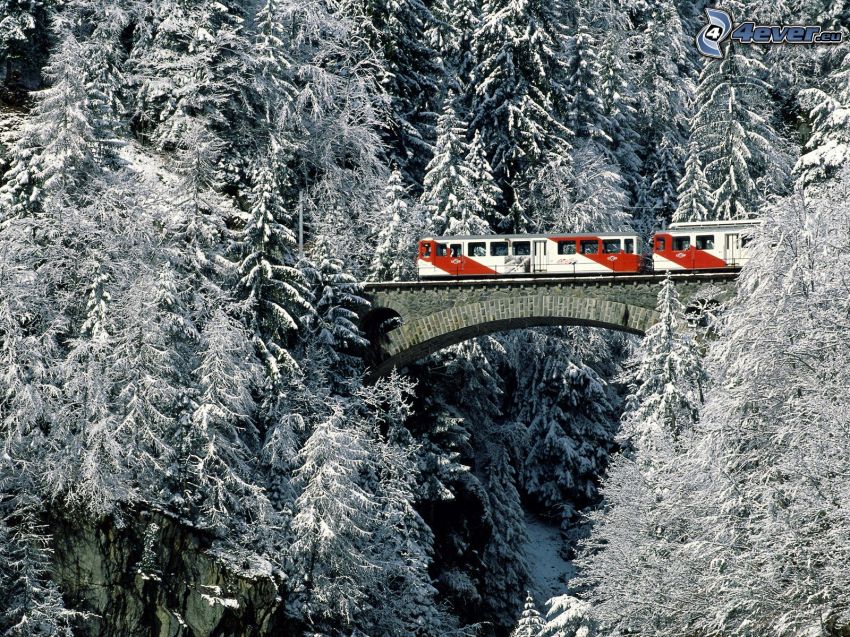 tåg, järnvägsbro, snöklädda träd