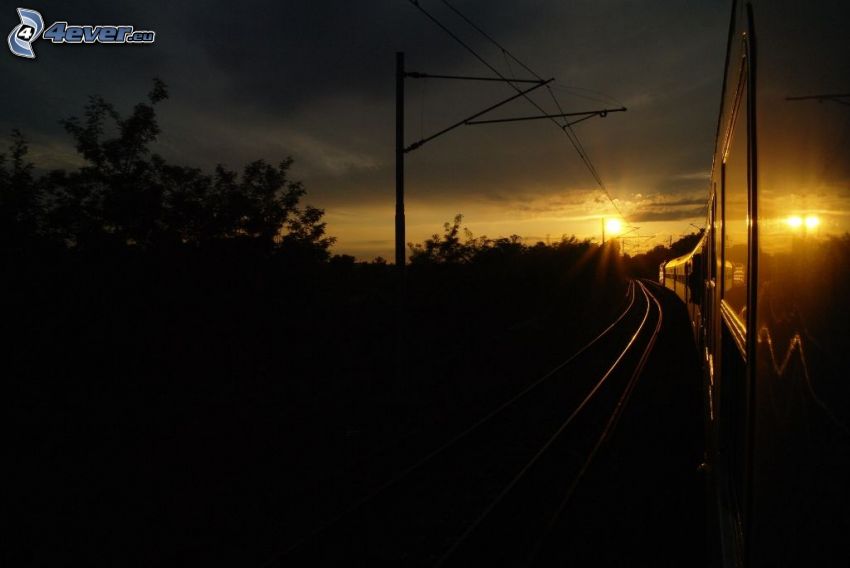 tåg, snabbtåg, solnedgång