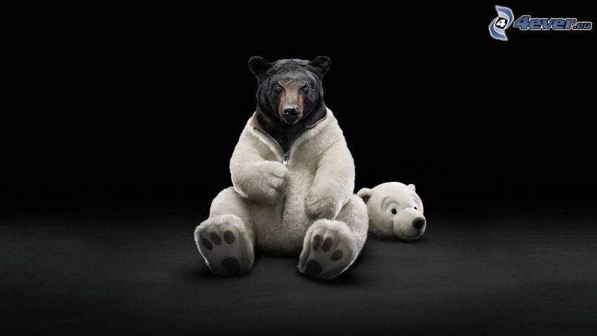 isbjörn, kostym