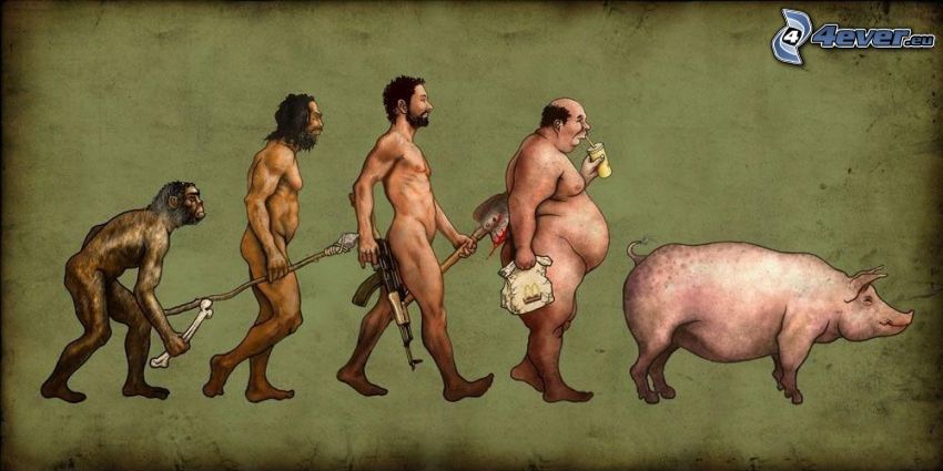 evolution, jägare, McDonald's, gris